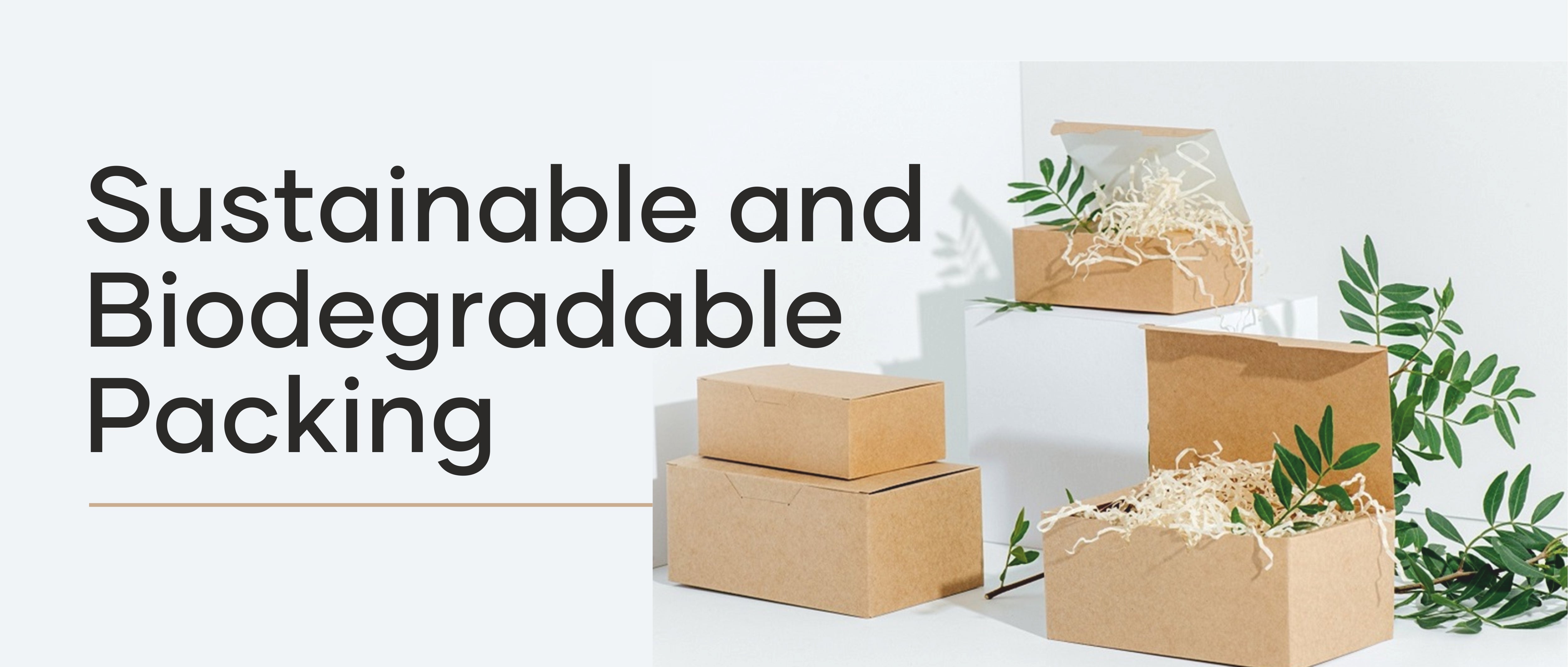 SUSTAINABLE AND BIODEGRADABLE PACKAGING: A GREEN CHOICE FOR NATURAL OR ...