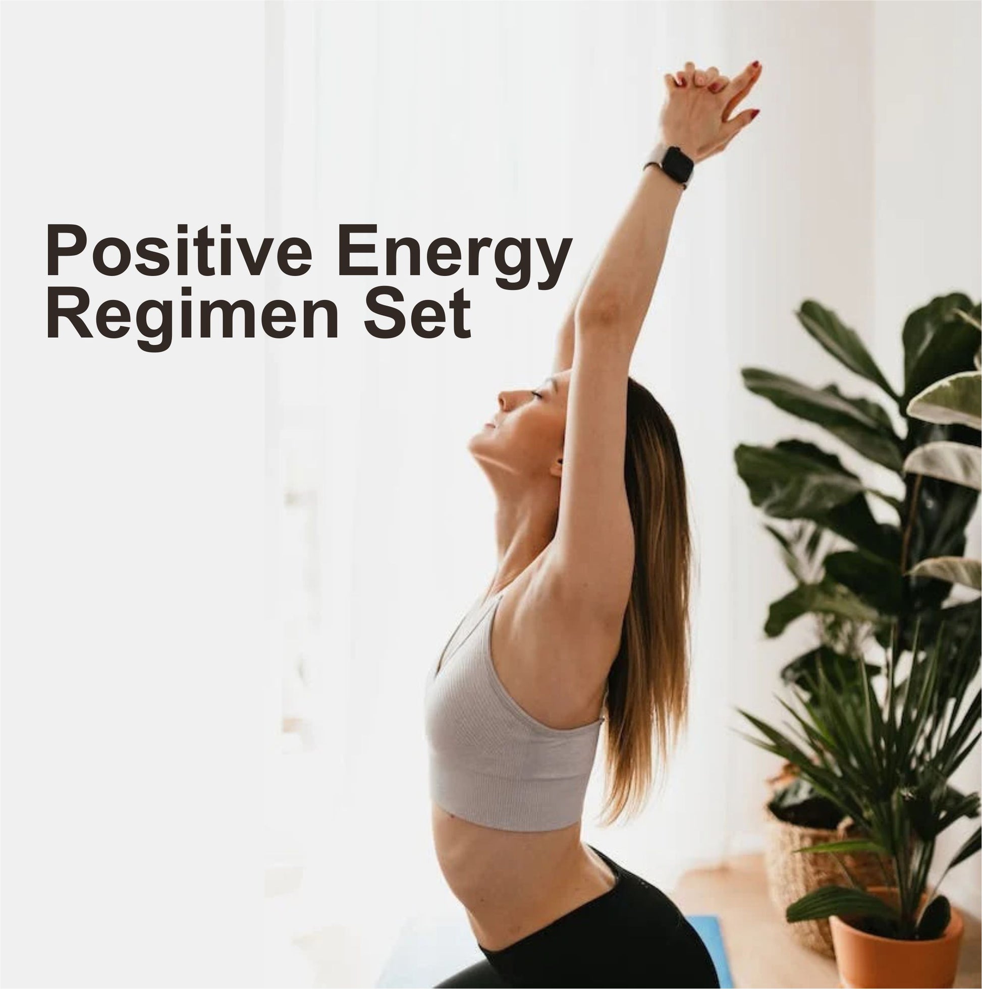 energy regimen set